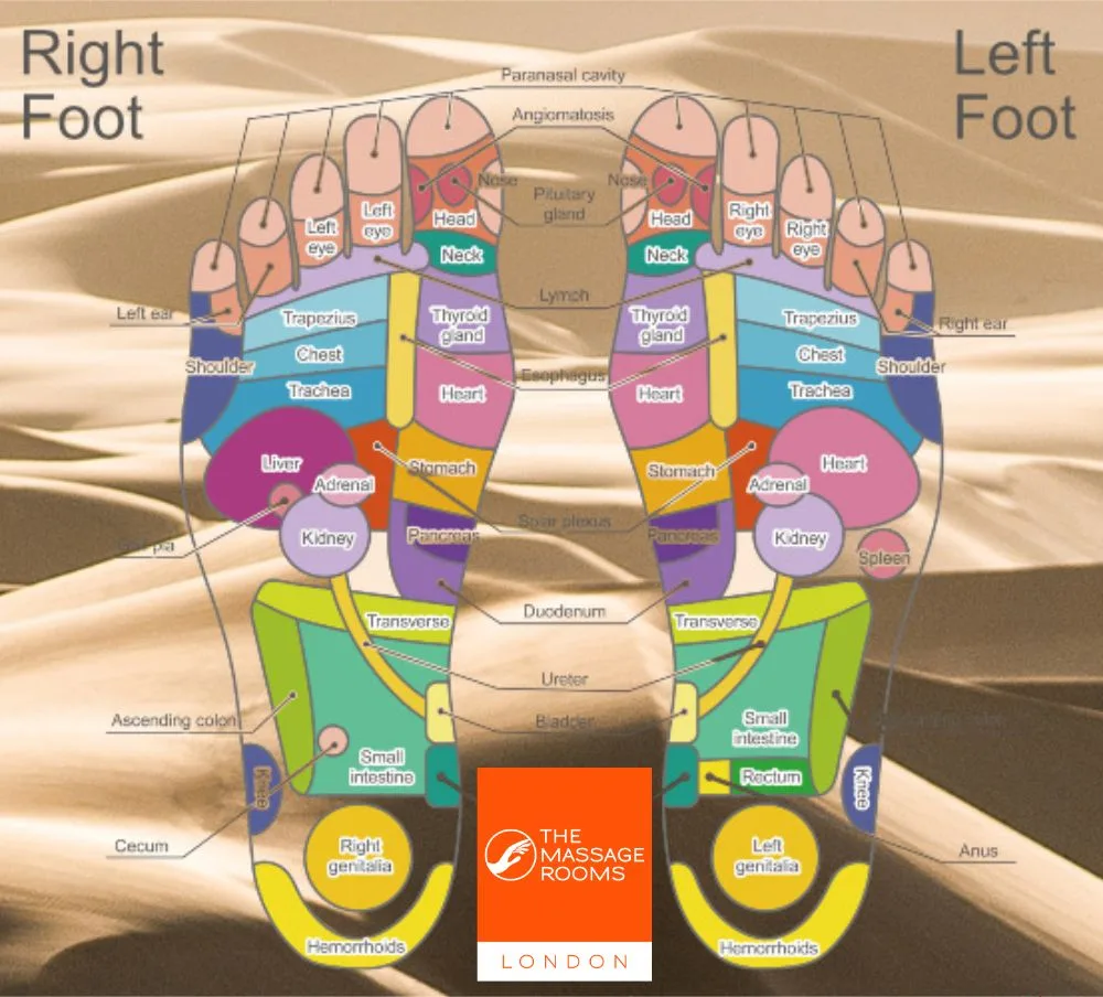 Foot reflexology chart showing zones of the feet linked to body systems